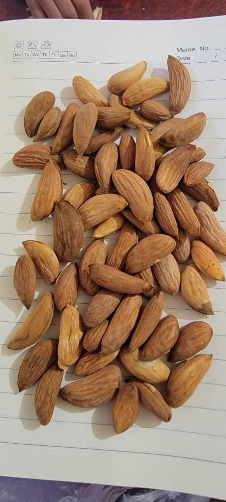 Almonds On Notebook