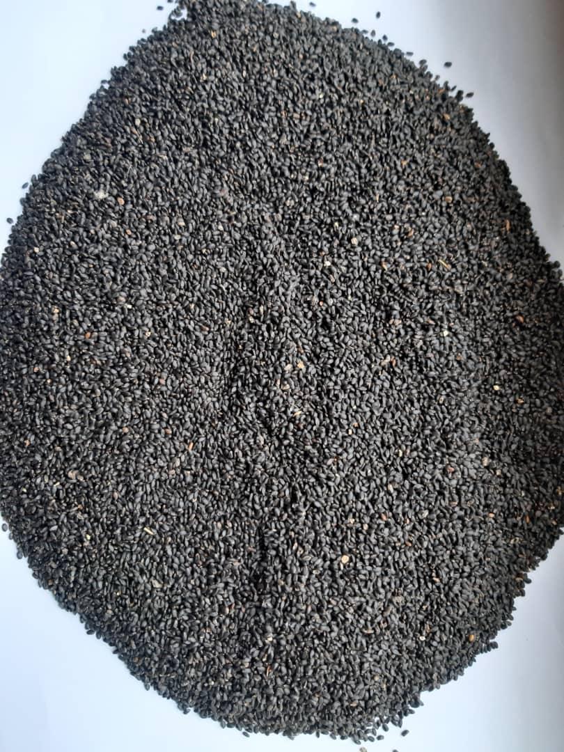 Black Basil Seeds 2