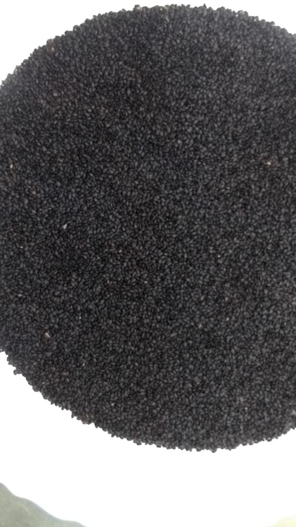 Black Basil Seeds 3