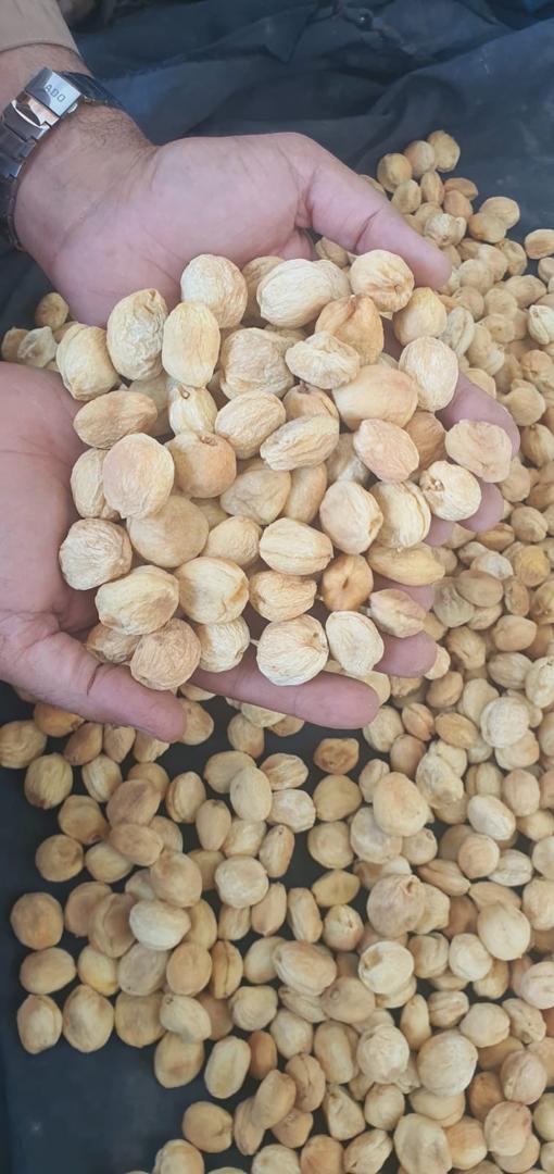 Dry Fruits & Nuts