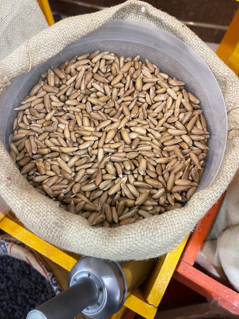 Pine Nuts In Sack 2
